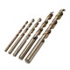 1mm-6mm HSS Twist Drill Bit Set Straight Shank Sprial HSS Metric Drill Bits Set for Jewelry Metal Drilling