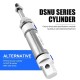 DSNU20X25-PPV DSNU20X50 DSNU20X75 DSNU20X100 DSNU20X125  DSNU20X150 CD85N20 MI20 Stainless steel pneumatic cylinder