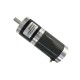 Brushed DC Motor with Gearbox 3200rpm 12V/24V 50mm