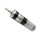 Brushed DC Motor with Gearbox, 7000rpm, 12V/24V, 28mm