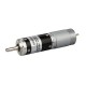 Brushed DC Motor with Gearbox 7000rpm 12V/24V 28mm