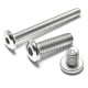 SS304/316 Stainless Steel M4/M5/M6 Hex Socket Chamfered End Flat Head Screw