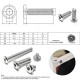 SS304/316 Stainless Steel M4/M5/M6 Hex Socket Chamfered End Flat Head Screw