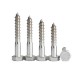 1/2" x 2" Stainless Steel Hex Head Lag Screws - High-Quality Hexagonal Lag Screws for Wood Projects