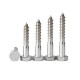 High-Quality Stainless Steel Hex Head Lag Wood Screws