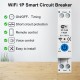 RMDZT-1PNL 63A Smart WiFi Circuit Breaker ON/OFF Timing Function Short Circuit Protection Voice Control Real-Time Electricity Consumption Tracking