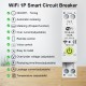 WiFi Intelligent Circuit Breaker ON OFF Timing Energy Meter Automatic Reclosing Protector with Metering and Prepaid Function Compatible