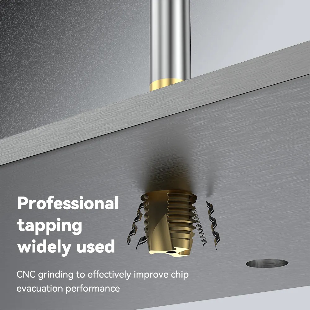 China Factory Coated Straight Tap Grooved Spiral HSS Tap with Spiral Point