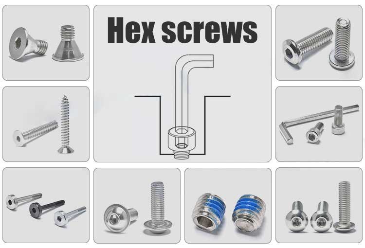Stainless Steel 304 316 Steel 8.8 10.9 12.9 DIN912 Csk Pan Hex Button Socket Cap Head Screw