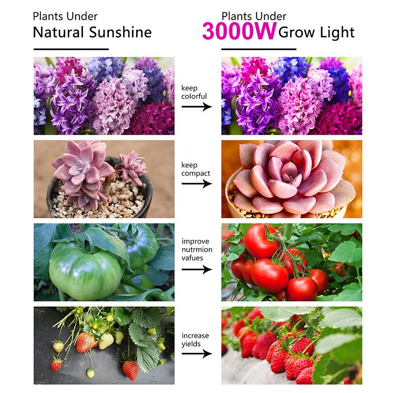 3000W LED Grow Light 13000 Lumens Plant Flower Full Spectrum Veg Flower Greenhouse Lamp