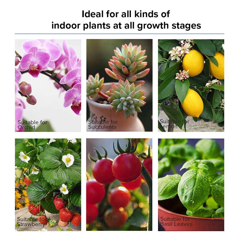 3000W LED Grow Light 13000 Lumens Plant Flower Full Spectrum Veg Flower Greenhouse Lamp