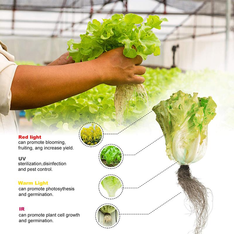 3000W LED Grow Light 13000 Lumens Plant Flower Full Spectrum Veg Flower Greenhouse Lamp