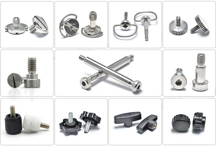 ISO 7379 M6 M8 M10 SS 304 Stainless Steel Cheese Head Shoulder Socket Screw