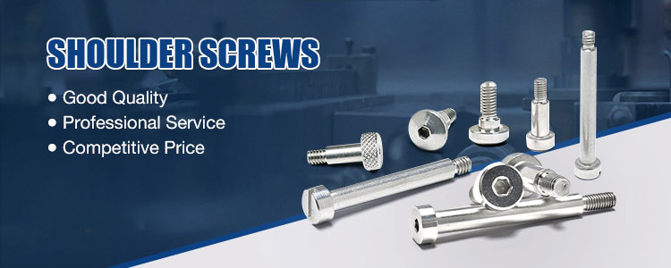 ISO 7379 M6 M8 M10 SS 304 Stainless Steel Cheese Head Shoulder Socket Screw