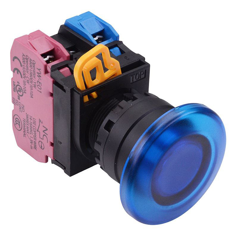 Blue 12V illuminated 22mm Mushroom Momentary Push Button Switch 1NO-1NC IP65 YW1L-M4E11Q3S