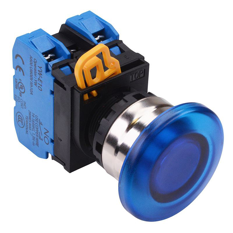 Blue 24V illuminated 22mm Metal Bezel Mushroom Momentary Push Button Switch 2NO IP65 YW4L-M4E20Q4S