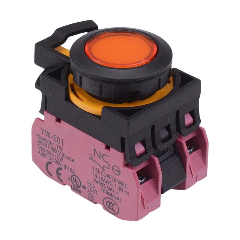 CW1L-M1E02Q4A Amber 24V illuminated Momentary Push Button Switch 2NC IP65